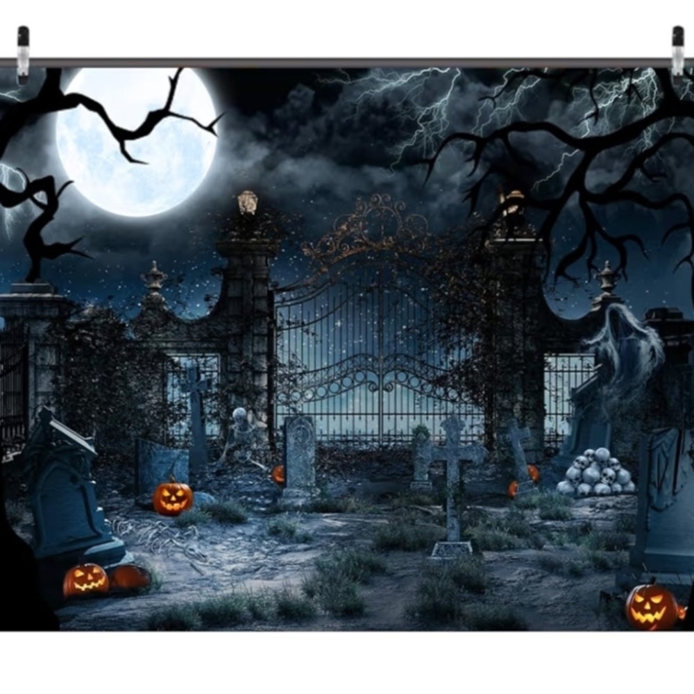 Seasonal/ holiday Backdrop Bundle 10pc